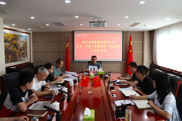 鄧華主持召開資中、萬源“兩端兩網”試點建設工作推進會