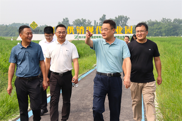 鄧華帶隊(duì)到四川供銷(xiāo)糧油青白江種植基地、好世紀(jì)倉(cāng)儲(chǔ)龍泉庫(kù)調(diào)研