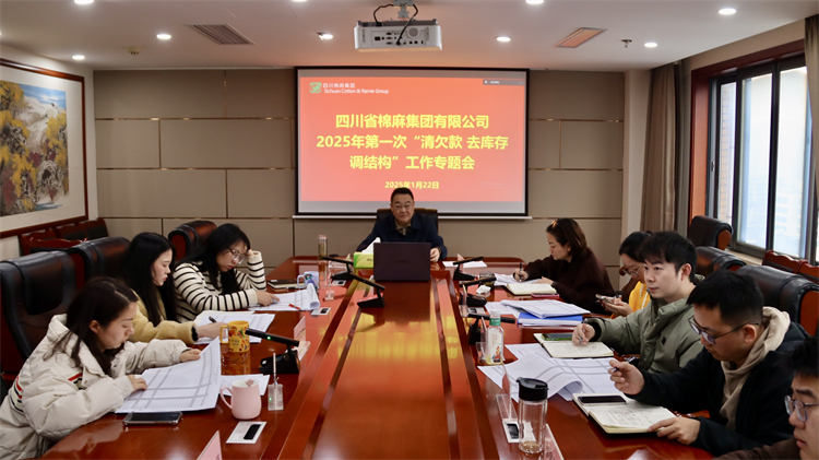 集團(tuán)公司召開2025年第一次“清欠款、去庫(kù)存、調(diào)結(jié)構(gòu)”工作專題會(huì)