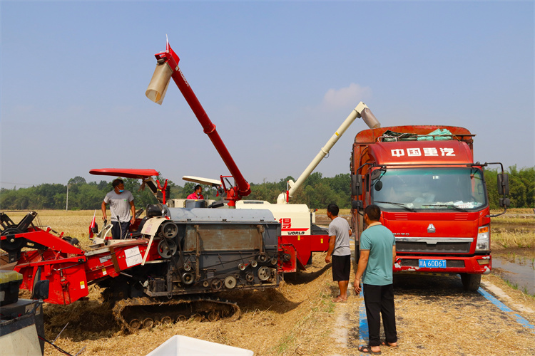 1652176656606892.jpg IMG_3963_副本.jpg